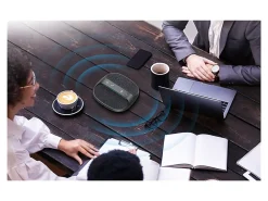Delton C4700 360° Voice Pickup Wired And Wireless Speakerphone, Black