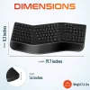Delton KB200 And S12 Ergonomic Computer Keyboard And Optical Mouse Combo, Black