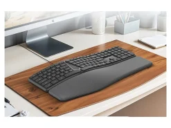 Delton KB250 Ergonomic Wired Keyboard, Black