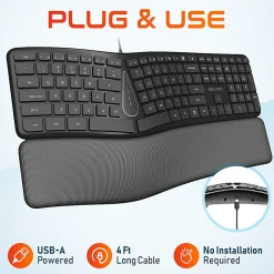 Delton KB250 Ergonomic Wired Keyboard, Black
