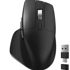 Delton S18 Ergonomic Wireless Mouse With USB-A/USB-C Dongle, Black