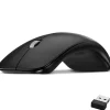 Delton S10 Wireless Optical Computer Mouse, Black