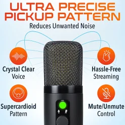 Delton U3000 USB Condenser Computer Microphone