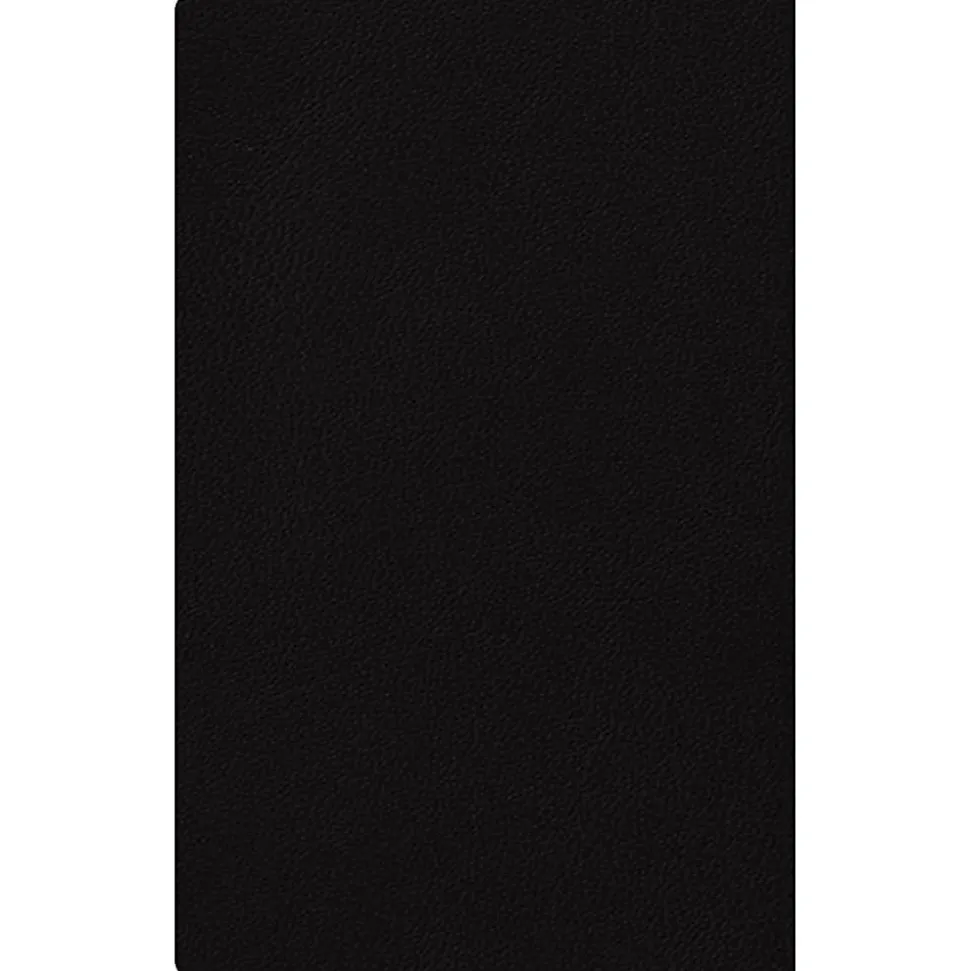 Deluxe Planner DD Black FL 5x8 AY26–27 Monthly