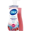 Dial® Antibacterial Foaming Hand Wash, Power Berries Scent, 10 oz, 8/Carton