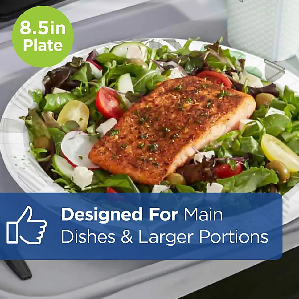 Dixie Ultra® Paper Plates, 8 1/2" Heavy-Weight Paper Plates, Pathways®, Pack of 125 Plates