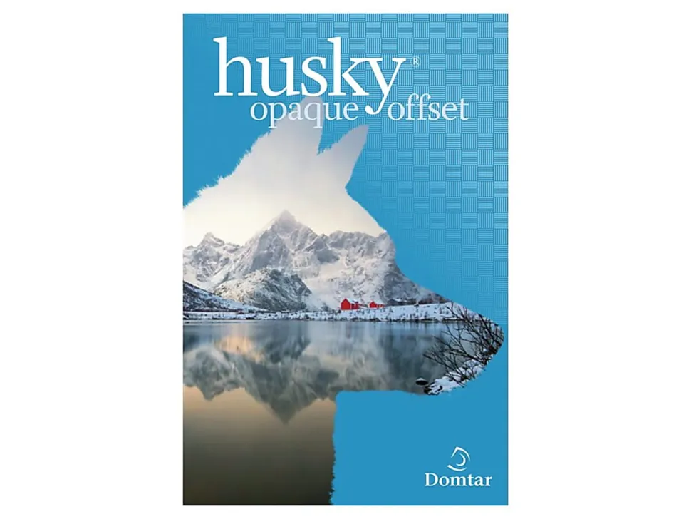 Domtar Husky Opaque Offset Multi-Use Printer & Copy Paper, 5 Reams, White, Tabloid (11" x 17"), 2500 Sheets Per Case, 60 Lb, 94 Brightness