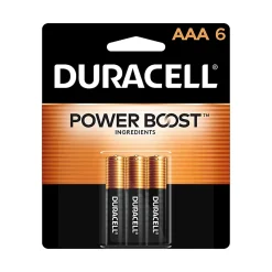 Duracell® Coppertop AAA Alkaline Batteries, Pack of 6