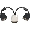 Eaton Tripp Lite Series DVI to VGA Y Splitter Adapter Cable (DVI-I to HD15 M/2xF), 1 ft. (0.3 m) - VGA splitter - P1200012