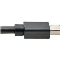 Eaton Tripp Lite Series Mini DisplayPort 1.2a to HDMI Active Adapter Cable (M/M), 4K 60 Hz, HDCP 2.2, 20 ft. (6.1 m) - HDMI/Mini DisplayPort