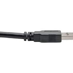 Eaton Tripp Lite Series USB 3.0 SuperSpeed A/A Cable (M/M), Black, 6 ft. (1.83 m) - USB cable - USB Type A (M) to USB Type A (M) - U320006BK