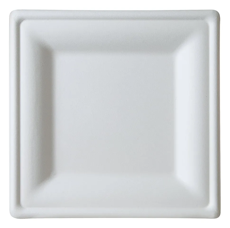 Eco-Products 10" Sugarcane Dinnerware Plates - Serving - Disposable - Microwave Safe - White - Sugarcane Body - 250 / Carton