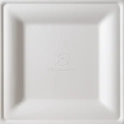 Eco-Products 10" Sugarcane Dinnerware Plates - Serving - Disposable - Microwave Safe - White - Sugarcane Body - 250 / Carton