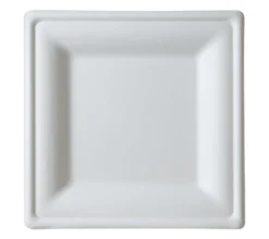 Eco-Products 10
