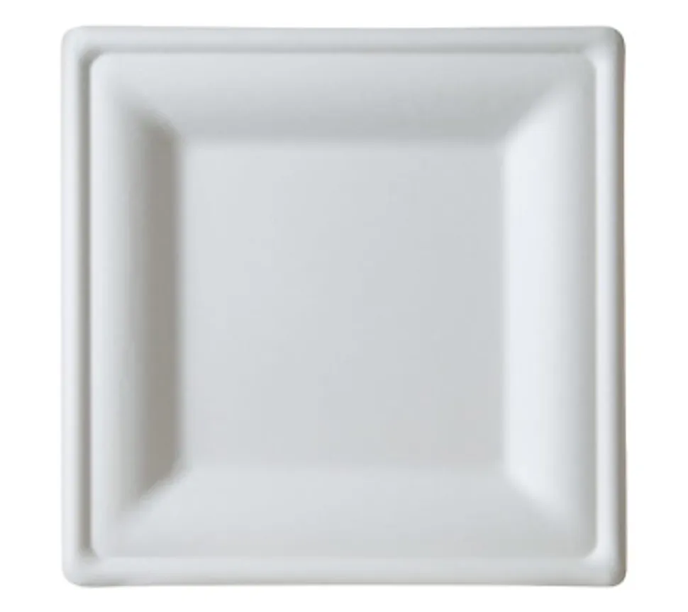 Eco-Products 10" Sugarcane Dinnerware Plates - Serving - Disposable - Microwave Safe - White - Sugarcane Body - 250 / Carton