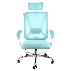 Elama Ergonomic Mesh Full-Back Adjustable Office Task Chair With Headrest, Blue/White