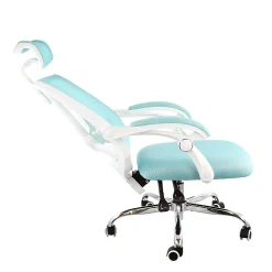 Elama Ergonomic Mesh Full-Back Adjustable Office Task Chair With Headrest, Blue/White