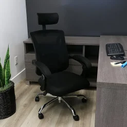 Elama Ergonomic Mesh Full-Back Adjustable Office Task Chair With Headrest, Black