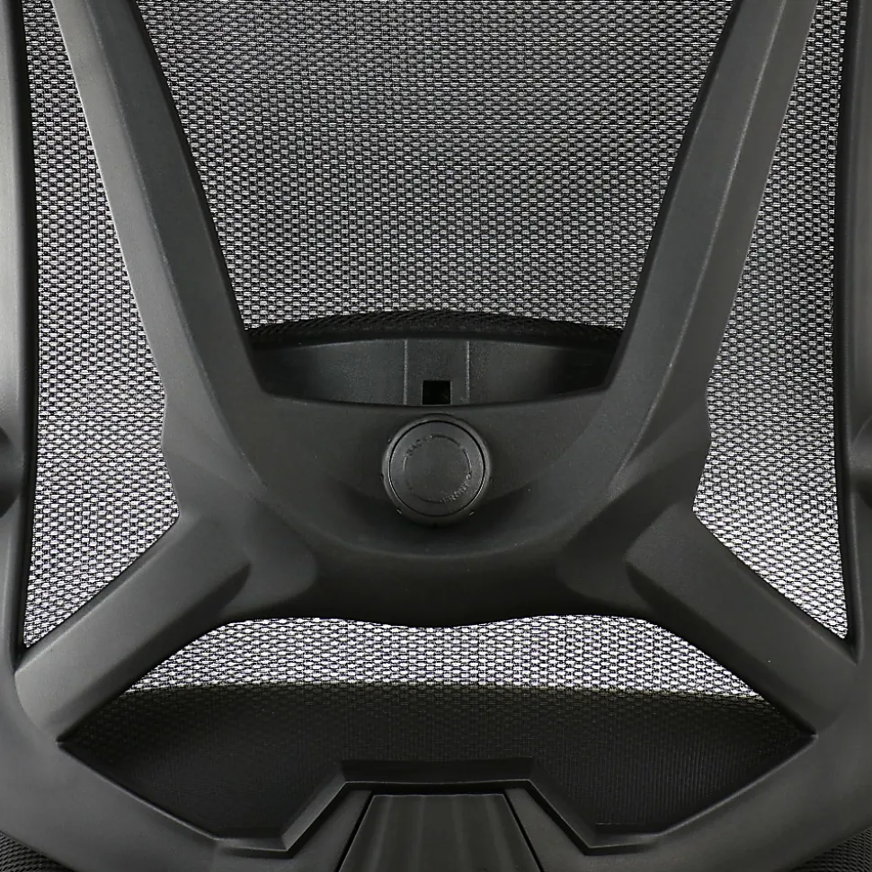 Elama Ergonomic Mesh Full-Back Adjustable Office Task Chair With Headrest, Black