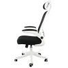 Elama Mesh/Fabric High-Back Adjustable Office Task Chair, White/Black