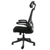 Elama Mesh/Fabric High-Back Adjustable Office Task Chair, Black/Gray