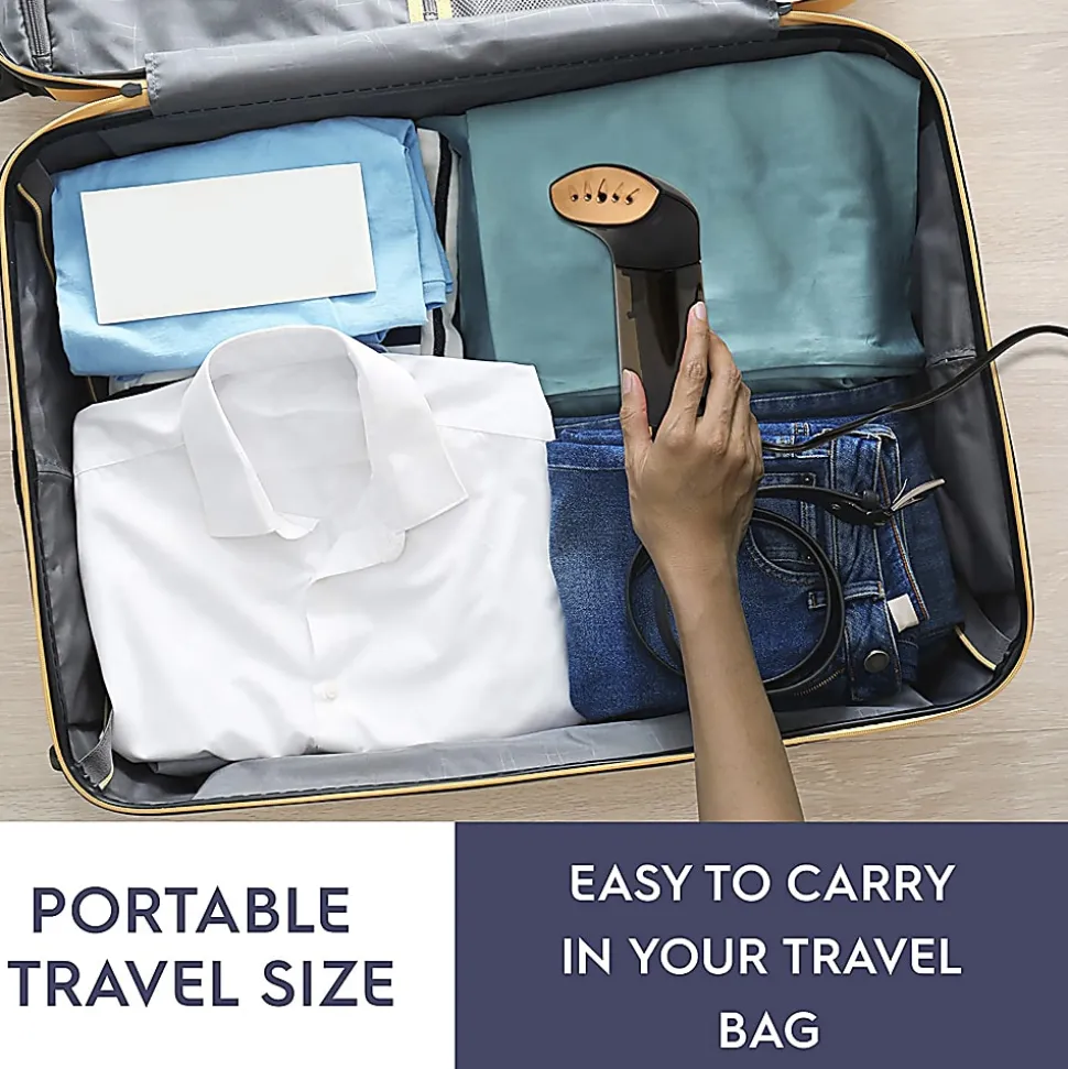 Electrolux Voyage Steamer With Traveling Pouch, Black