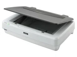Epson Expression 12000XL Graphic Arts - Flatbed scanner - CCD - Ledger - 2400 dpi x 4800 dpi - USB 2.0