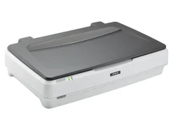 Epson Expression 12000XL Graphic Arts - Flatbed scanner - CCD - Ledger - 2400 dpi x 4800 dpi - USB 2.0