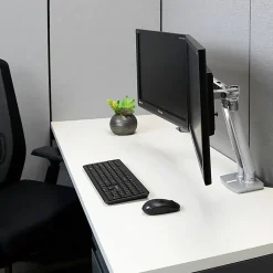 Ergotron Mounting Arm for Monitor, Display Screen, LCD Monitor, Polished Aluminum, Landscape/Portrait, 45496026