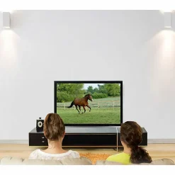Ergotron Wall Mount for Flat Panel Display - Black - Adjustable - 30