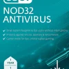 ESET NOD32 Antivirus 2025, 1 device, 1 YR Subscription, PC, Download