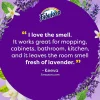 Fabuloso Multi-Purpose Cleaner, Lavender Scent, 128 Oz
