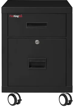 FireKing 18"W Vertical 2-Drawer Mobile Locking Fireproof File Cabinet, Metal, Black, Dock-to-Dock Delivery