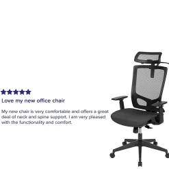 Flash Furniture Layla Ergonomic Mesh High-Back Office Chair, Black