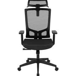 Flash Furniture Layla Ergonomic Mesh High-Back Office Chair, Black