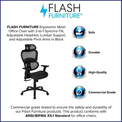 Flash Furniture LO Ergonomic Mesh High-Back Office Chair, Black