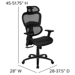 Flash Furniture LO Ergonomic Mesh High-Back Office Chair, Black