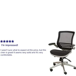 Flash Furniture Mesh Mid-Back Executive Office Chair, Black/Graphite Silver