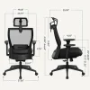 FlexiSpot C4B Ergonomic Mesh High-Back Office Chair, Black