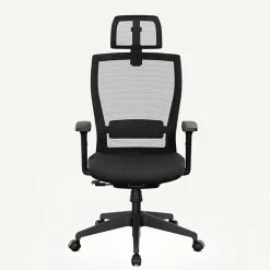 FlexiSpot C4B Ergonomic Mesh High-Back Office Chair, Black