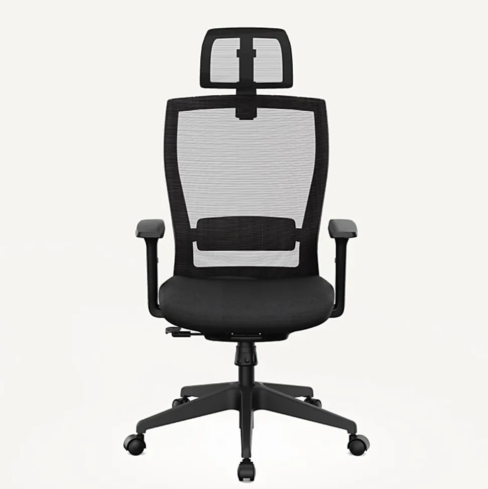 FlexiSpot C4B Ergonomic Mesh High-Back Office Chair, Black