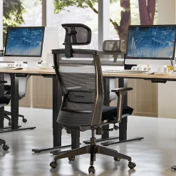 FlexiSpot C4B Ergonomic Mesh High-Back Office Chair, Black