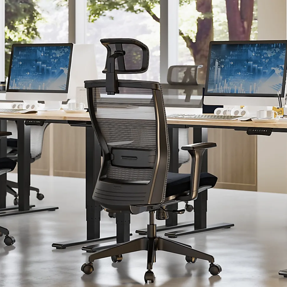 FlexiSpot C4B Ergonomic Mesh High-Back Office Chair, Black