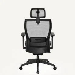 FlexiSpot C4B Ergonomic Mesh High-Back Office Chair, Black