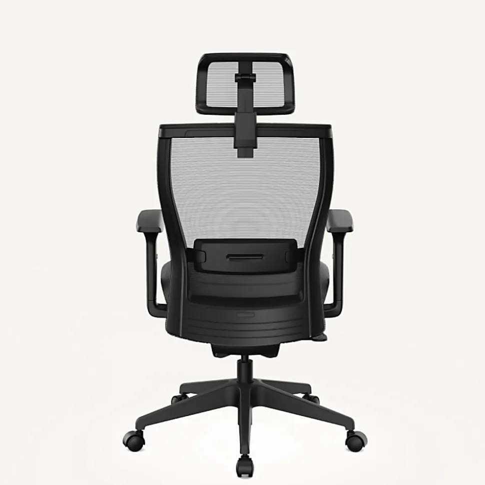 FlexiSpot C4B Ergonomic Mesh High-Back Office Chair, Black