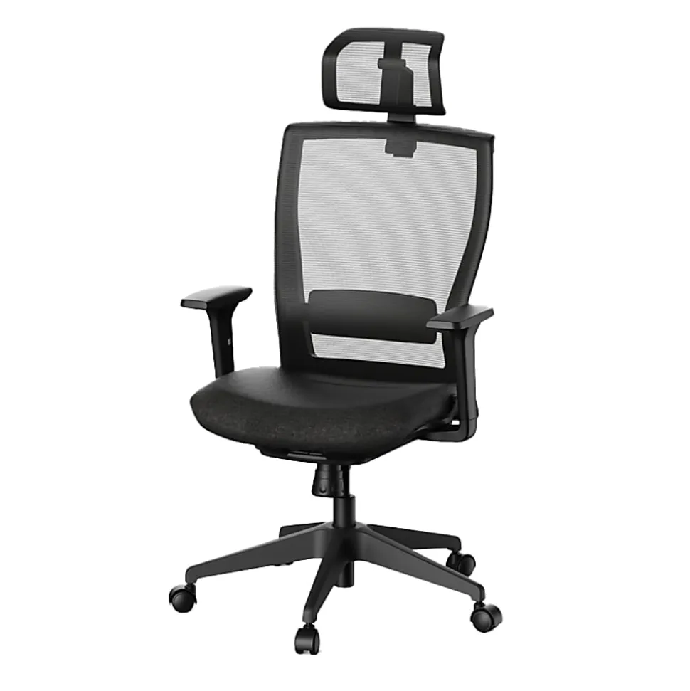 FlexiSpot C4B Ergonomic Mesh High-Back Office Chair, Black