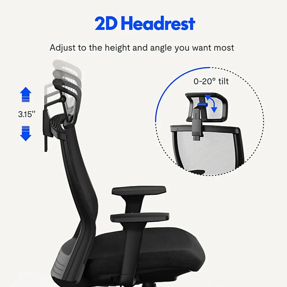 FlexiSpot C4B Ergonomic Mesh High-Back Office Chair, Black