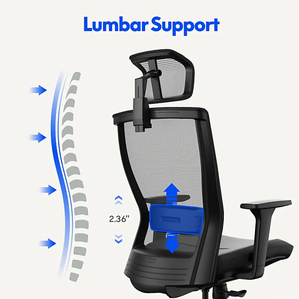 FlexiSpot C4B Ergonomic Mesh High-Back Office Chair, Black