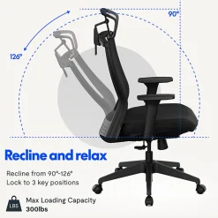 FlexiSpot C4B Ergonomic Mesh High-Back Office Chair, Black