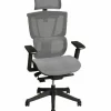 FlexiSpot C7 Ergonomic Mesh High-Back Office Chair, Black, C7BMESH